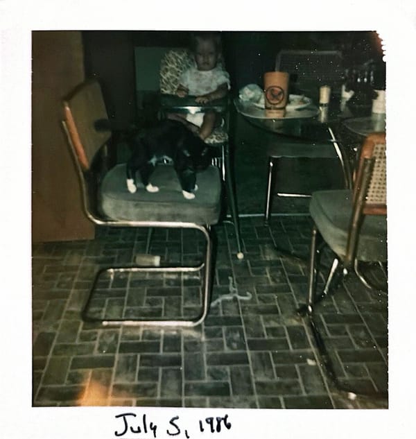 Chapter 1: In the Beginning